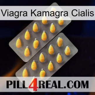 Viagra Kamagra Cialis cialis2